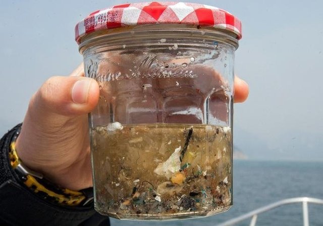 如果知道海洋中的塑料垃圾會進(jìn)入人類肚子，你還會丟嗎？